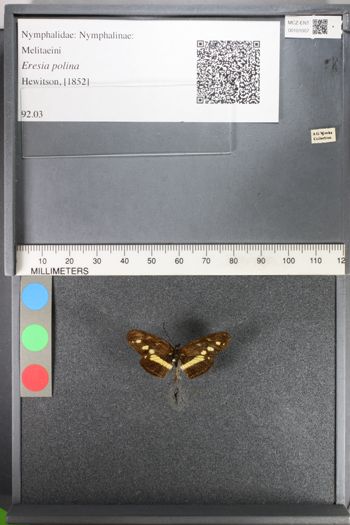 Media type: image;   Entomology 101007